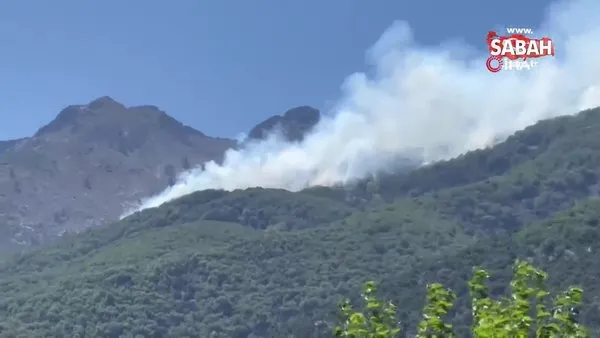Yunanistan'ın Semadirek Adası'nda orman yangını | Video