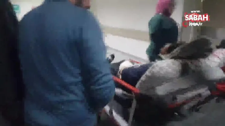 Ayı saldırısında yaşadıkları dehşeti anlattı