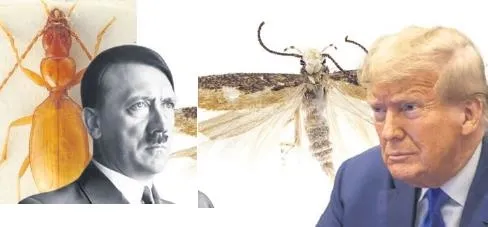 Bilim dünyasının yeni canlılara verdiği ünlü isimler