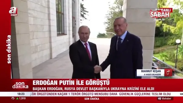 Başkan Erdoğan Rusya Devlet Başkanı Putin ile görüştü