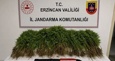 Zehir tacirlerine jandarmadan darbe: 1 kişi tutuklandı #erzincan