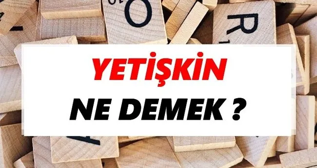 Yetişkin Ne Demek? TDK’ya Göre Yetişkin Sözlük Anlamı Nedir?