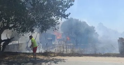 Bodrum’da yangın: Ekipler müdahale ediyor