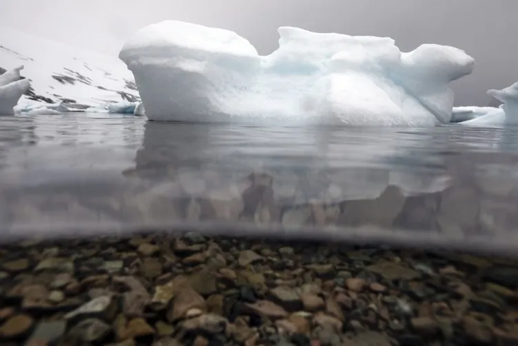 Antarktika’da doğanın mucizesi! Türk fotoğraf sanatçısının kadrajında