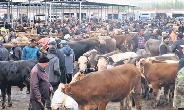 Kurban pazarlarında hareketlilik zirvede #kars