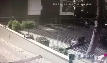 At arabasıyla gelip mazgalları çaldılar