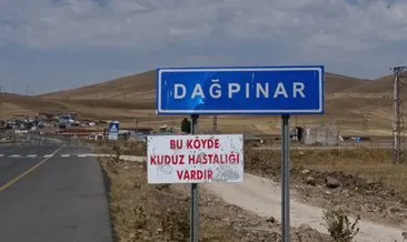 Kars'ta kuduz paniği: Bir belde karantina altına alındı! #kars