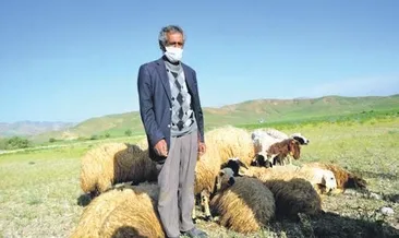 Bekir amcaya 20 koyun hediye edildi