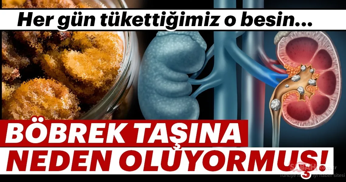 o besin bobrek tasina neden oluyormus