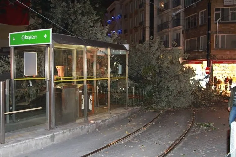 Tramvay yoluna ağaç devrildi