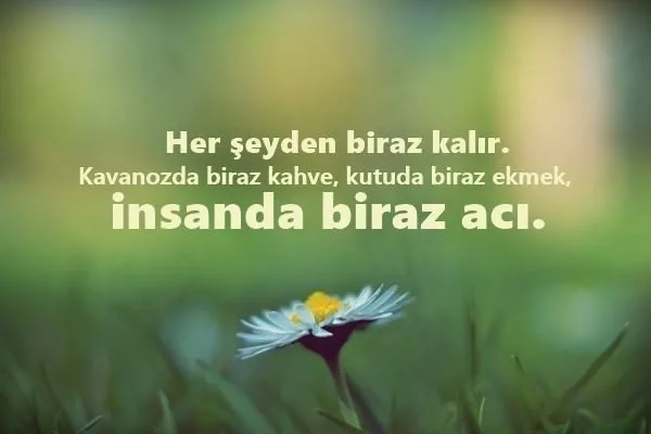 Güzel Sözler 2021 - Kısa, Uzun Anlamlı, Özlü Sözler ve Sevgiliye En Güzel Sözler