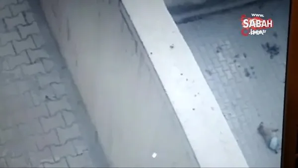 Son dakika haberi: Ankara'daki vahşetin görüntüleri ortaya çıktı! Sevgilisi şikayetini geri çekmeyince 5. kattan aşağı attı | Video