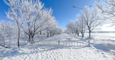 Erzurum’da yoğun kar yağışı yerini dondurucu soğuğa bıraktı #erzurum