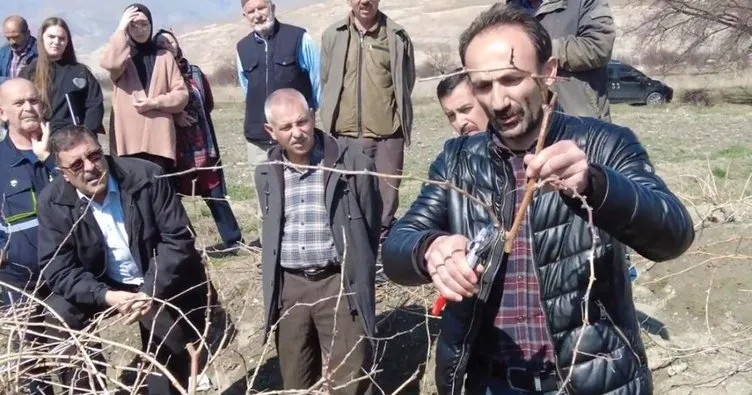 Erzincan’da uygulamalı olarak ’Çiftçi Tarla Okulu’ eğitimi düzenlendi