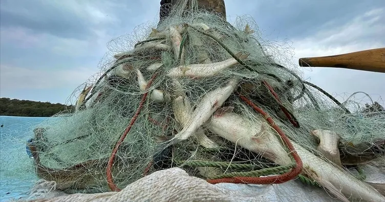 Su ürünleri üretimi yüzde 1,8 arttı