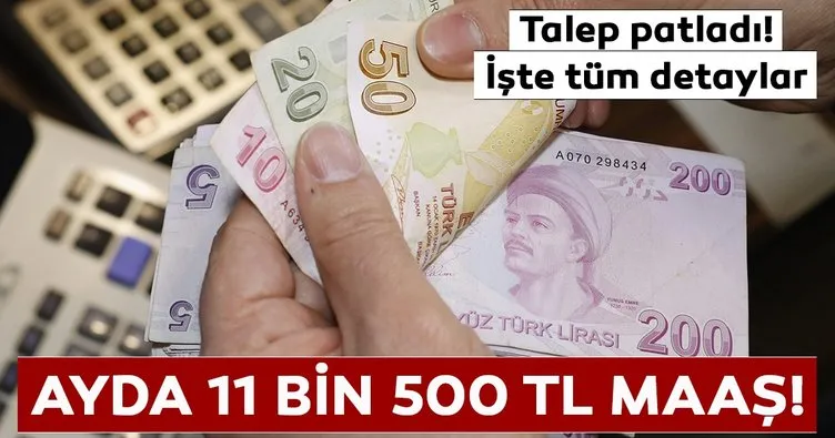 Work and Travel’a rekor talep! Ayda 11 bin 500 TL maaş...
