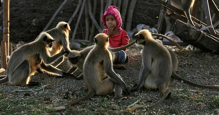 Maymunlara fısıldayan çocuk