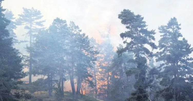 Bilecik’te ormanlar 6 gündür yanıyor