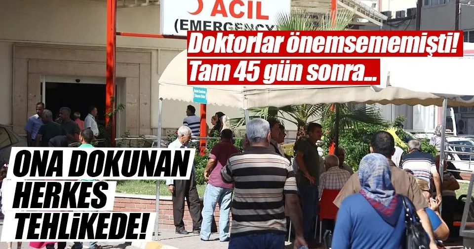 yarasa isirdi kuduz oldu son dakika haberler