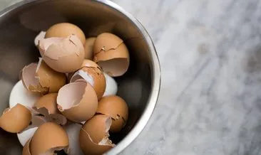 Yumurta kabuklarını sakın çöpe atmayın!