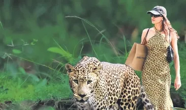 Üstümüz başımız leopar