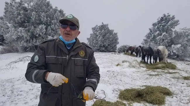 Eksi 8 derecede Spil Dağı’nda yaban hayatı unutulmadı