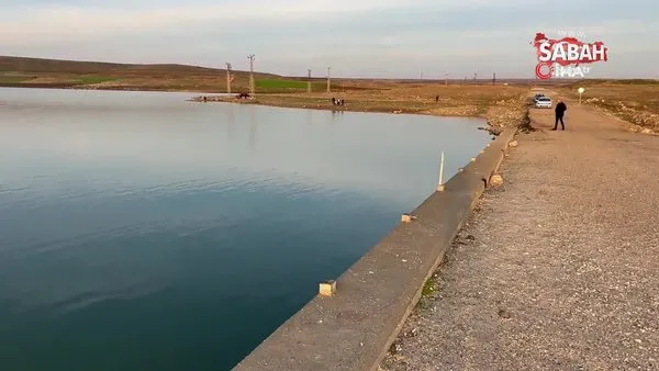 Sular çekilince tarihi köprü gün yüzüne çıktı | Video