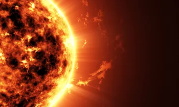 Bu gerçekler şoke ediyor...