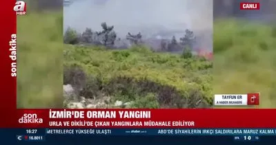 SON DAKİKA! İzmir Karaburun ve Dikili’de orman yangını! Ekiplerin müdahalesi sürüyor | Video