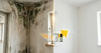 Rutubet kokusu ve lekesine veda! Meğer çözümü mutfaktaymış: Bir sıkan bir daha bırakmıyor!