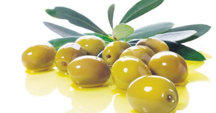 Yeşil zeytine Suudi talip