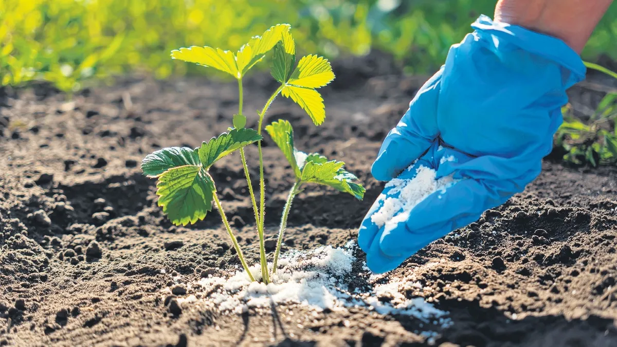 Savaş gıda krizini tetikler mi?