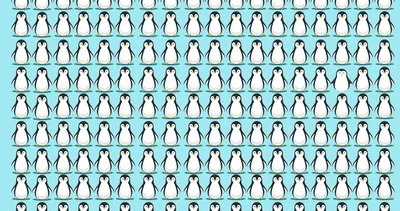Yalnızca IQ’su yüksek olanlar bu testi geçebiliyor! Farklı pengueni bulan kişi sayısı yok denecek kadar az!