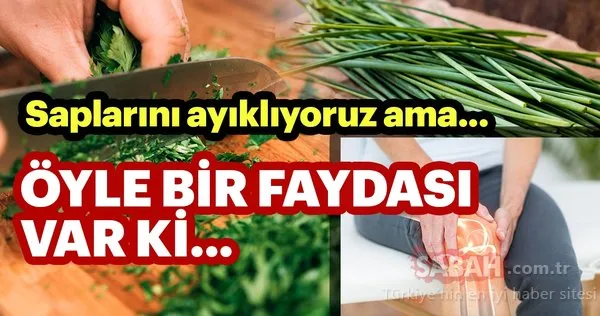 Saplarını ayıklıyoruz ama... Öyle bir faydası var ki...