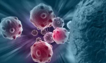 Kan Kanseri Belirtileri – Erkeklerde, Kadınlarda ve Bebeklerde İlk ve Son Evre Kan Kanseri – Lösemi Belirtileri Nelerdir?