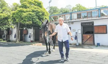 Gazi Koşusu için doğan her at bir ümit