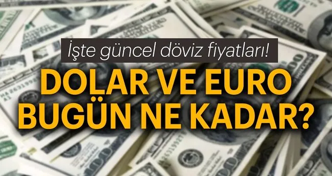 Son Dakika Haber Su An Dolar Ve Euro Ne Kadar Kac Tl 15 Agustos Doviz Kuru Dolar Ve Euro Alis Satis Fiyatlari Son Dakika Haberler