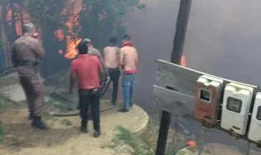Şili’deki orman yangınlarında 200’den fazla ev kül oldu