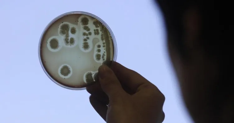 AB’de dirençli bakteriler her yıl 33 bin kişiyi öldürüyor