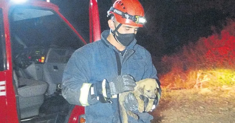 Köpeği kurtarırken derede mahsur kaldı