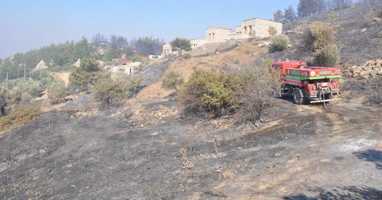 Datça yangınının acı bilançosu! 700 hektar küle döndü