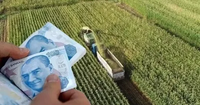 TARIMSAL DESTEK ÖDEMELERİ SON DURUM GELİŞMELERİ: Mazot gübre desteği yattı mı, ayın kaçında ödenecek?