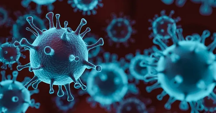 Bilim insanları keşfetti! Çin’de bilinmeyen 28 farklı virüs örneği tespit edildi