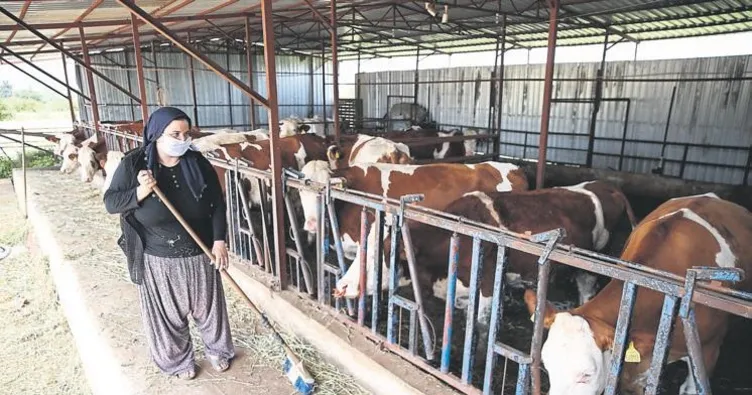 Devlet desteği ile patron oldu