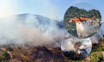 SON DAKİKA | 5 ilde alevlerle mücadele! Bursa Valiliği son durumu paylaştı #antalya