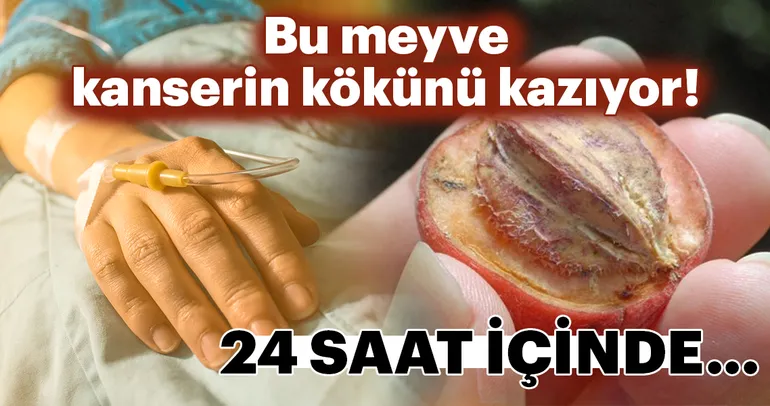 Bu meyve kanserin kökünü kazıyor!