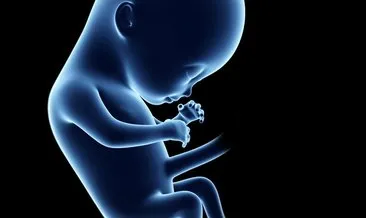 28. 7. ay bedeninizde meydana gelecek değişiklikler nelerdir  hafta hamilelik belirtileri nelerdir?