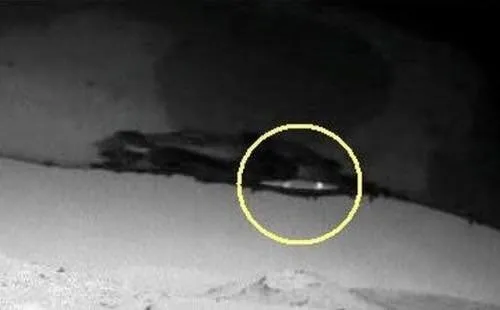 Mars'ta UFO üssü