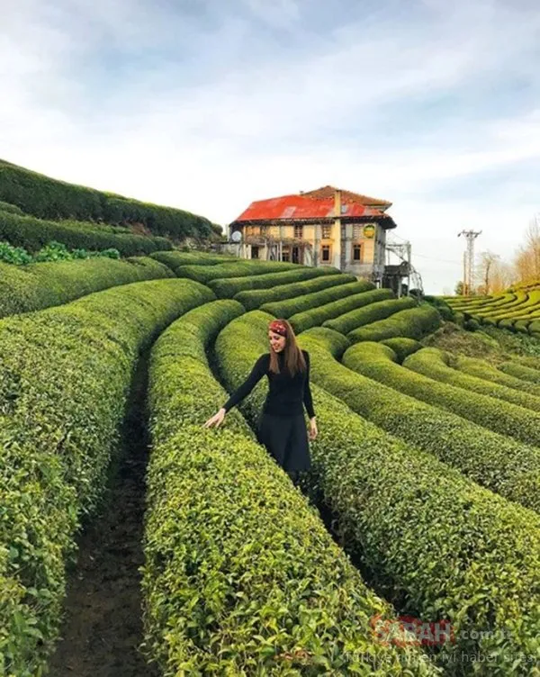 Yer: Rize! Herkes orada fotoğraf çektiriyor