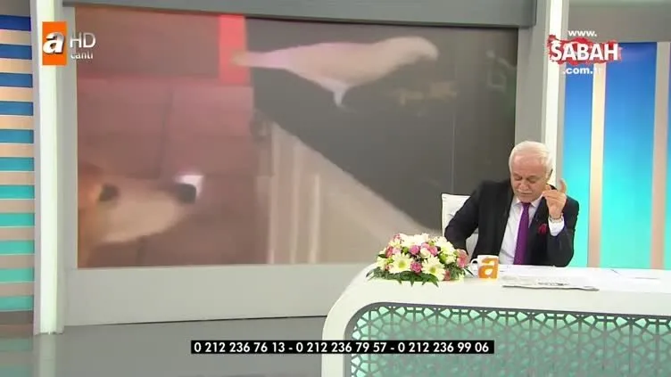 Nihat Hatipoğlu'dan o görüntüler hakkında yorum